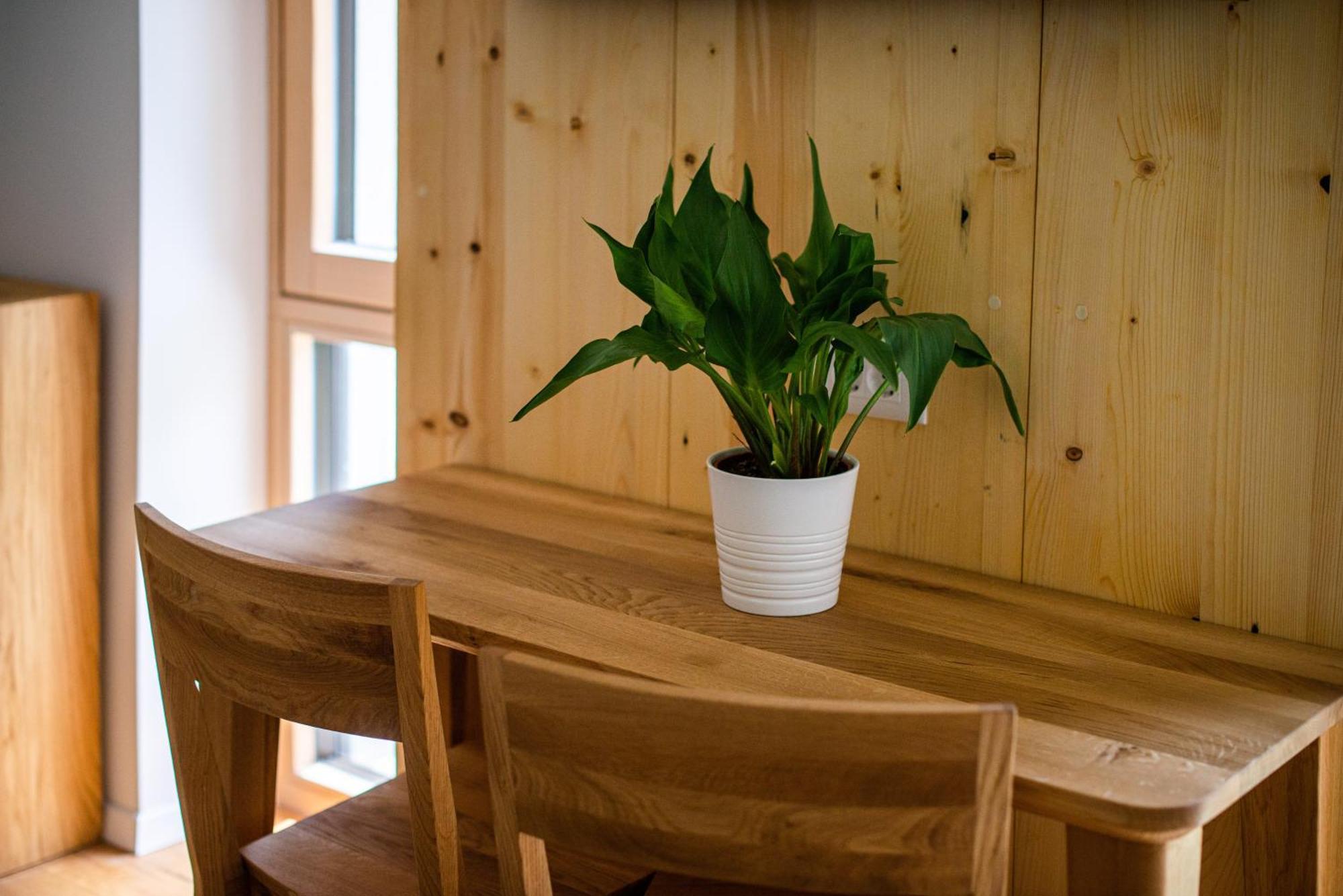 Ferienwohnung Lucka Bled Quiet Location, Free Bikes, Big Garden, Doctor Exterior foto